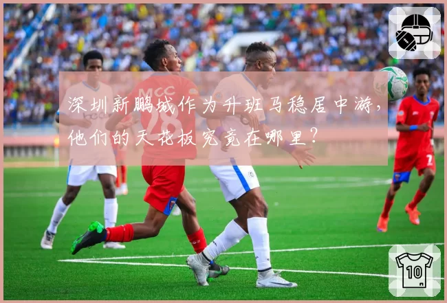 深圳新鹏城作为升班马稳居中游，他们的天花板究竟在哪里？