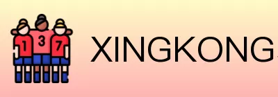XINGKONG星空体育 logo